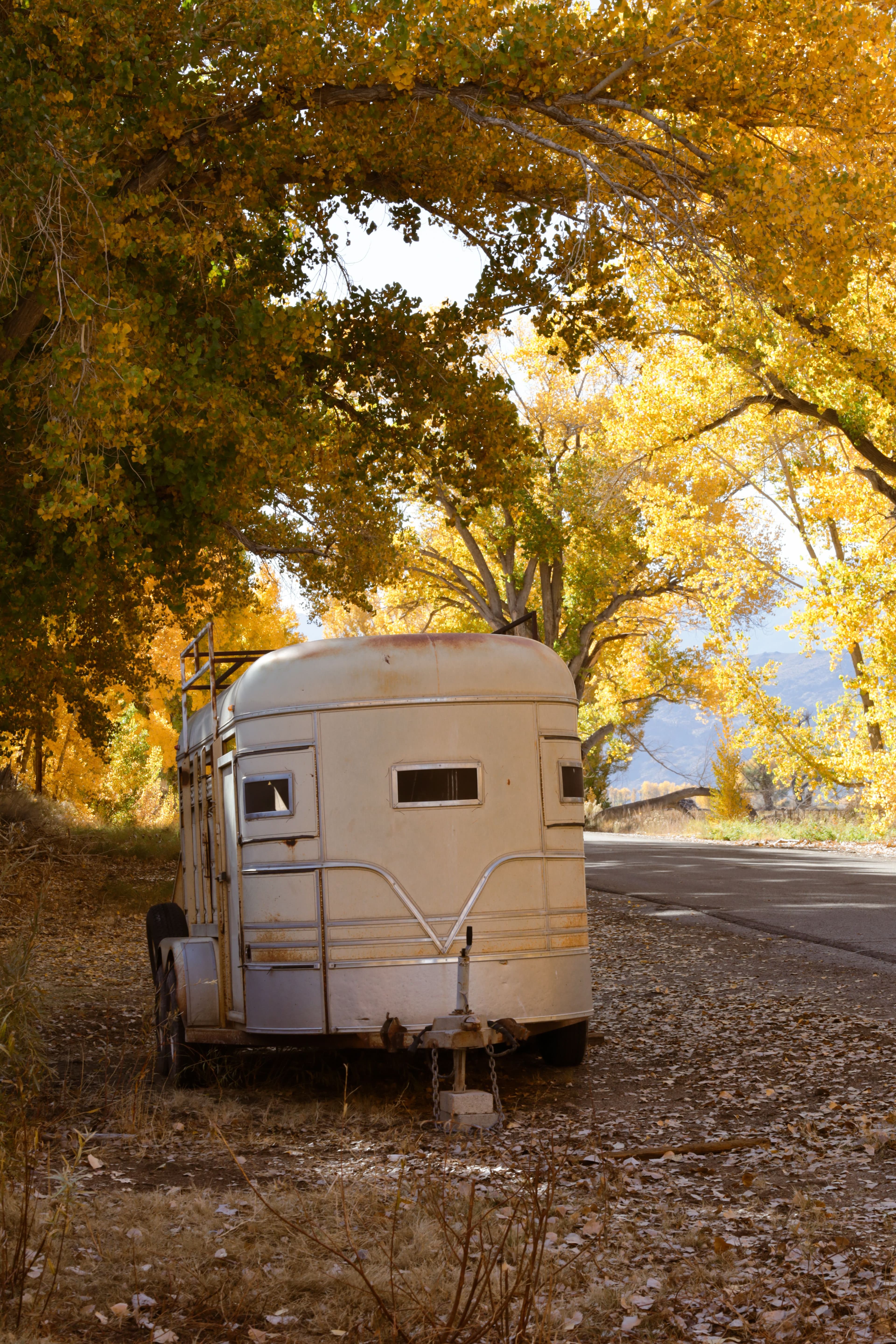 Bockmann Comfort 2-Horse Trailer