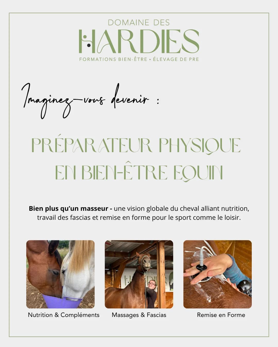 Equine fitness trainer β FR β 1