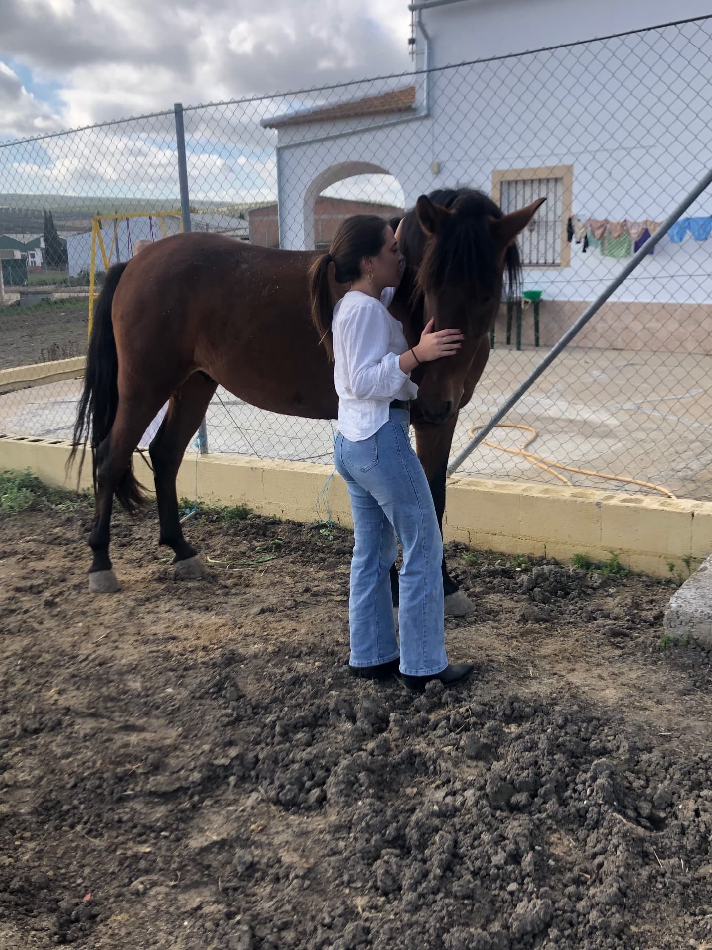 Caballo PRE