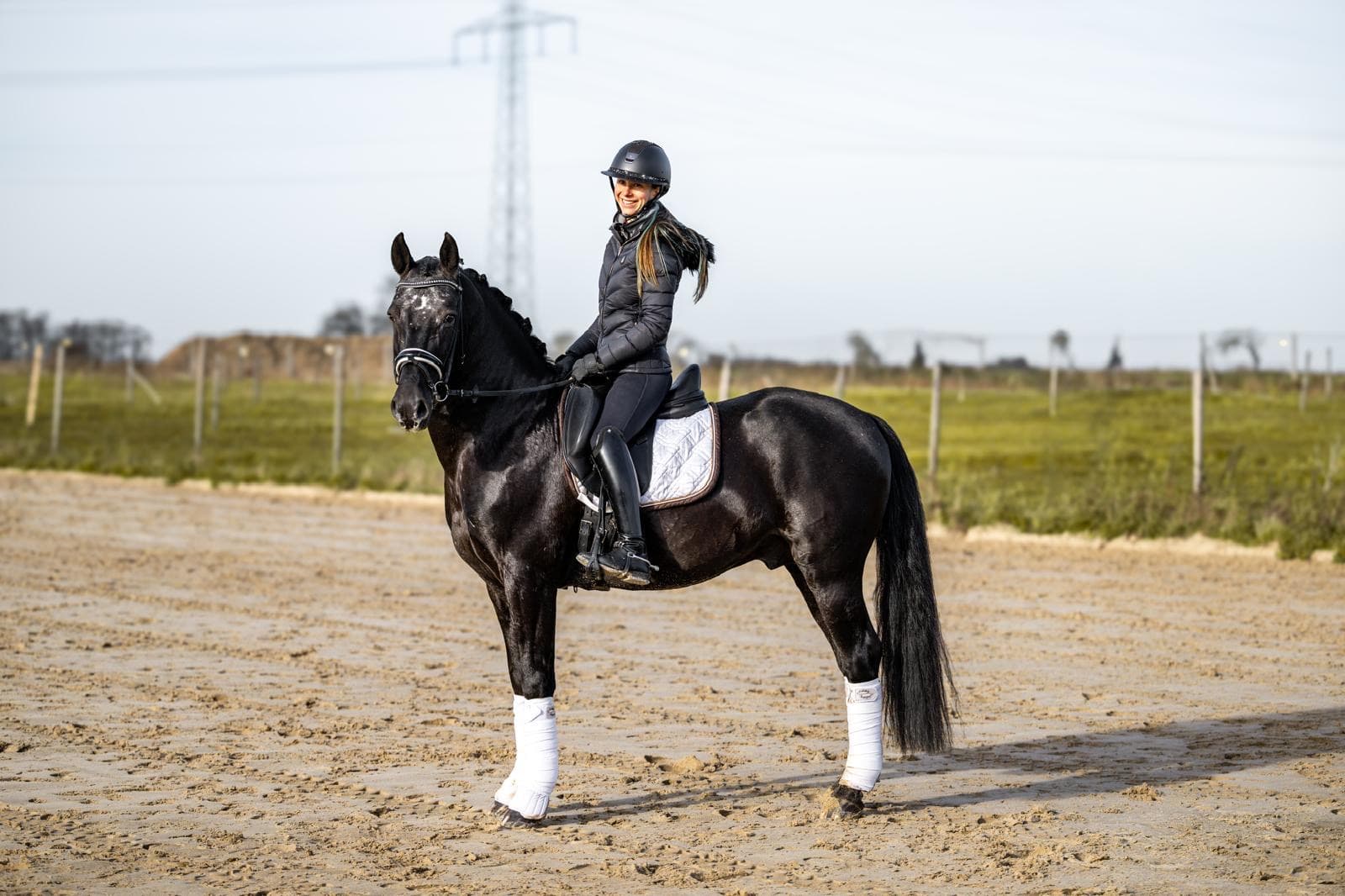 Dressage pony with great personality