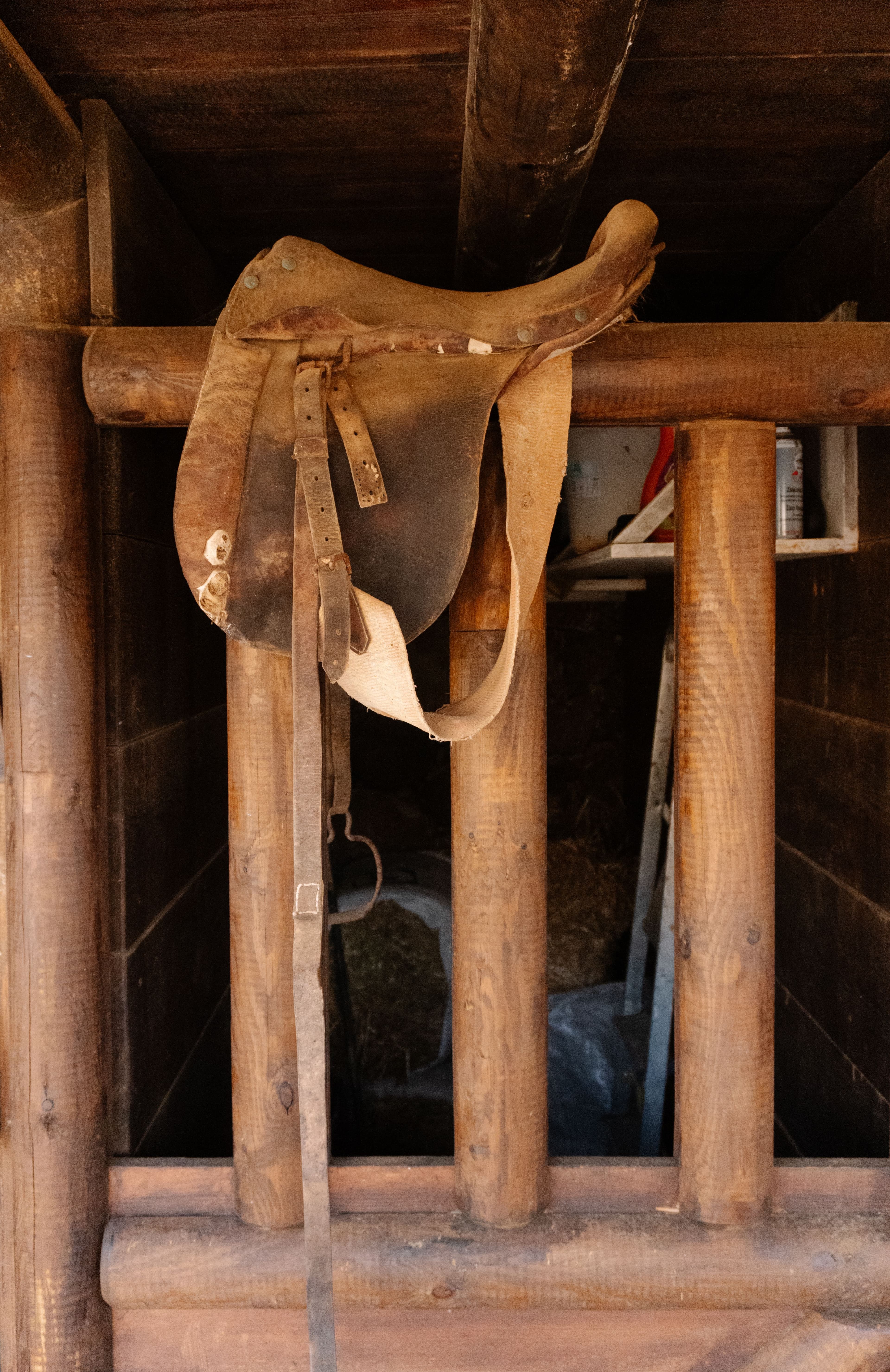 Bates Isabell Dressage Saddle
