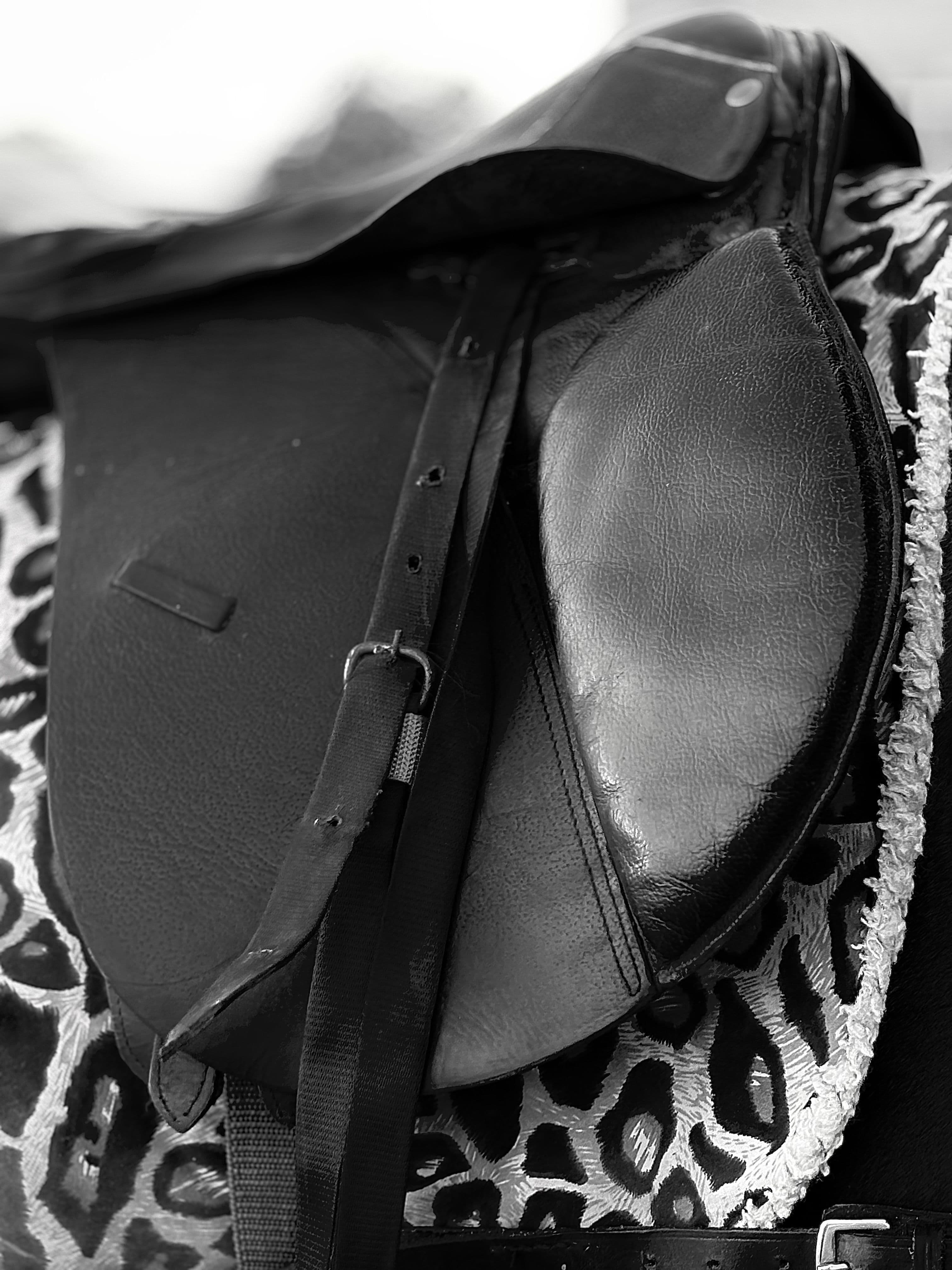 CWD SE02 Jumping Saddle 17in